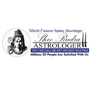 Picture of shivrudraastrologer