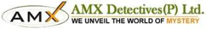 Picture of amxdetectives