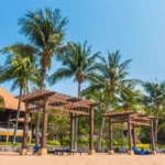 beach resort in Morjim Goa