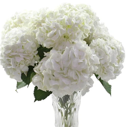 Funeral Flower Arrangement