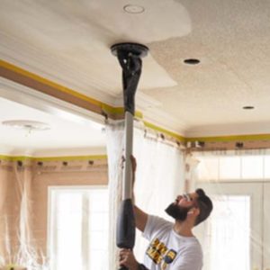 popcorn removal company