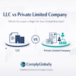 LLC vs Private Limited Company: Which Structure Is Right for Your Global Business?