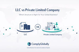 LLC vs Private Limited Company: Which Structure Is Right for Your Global Business?