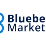 blueberry markets