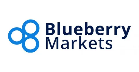 blueberry markets