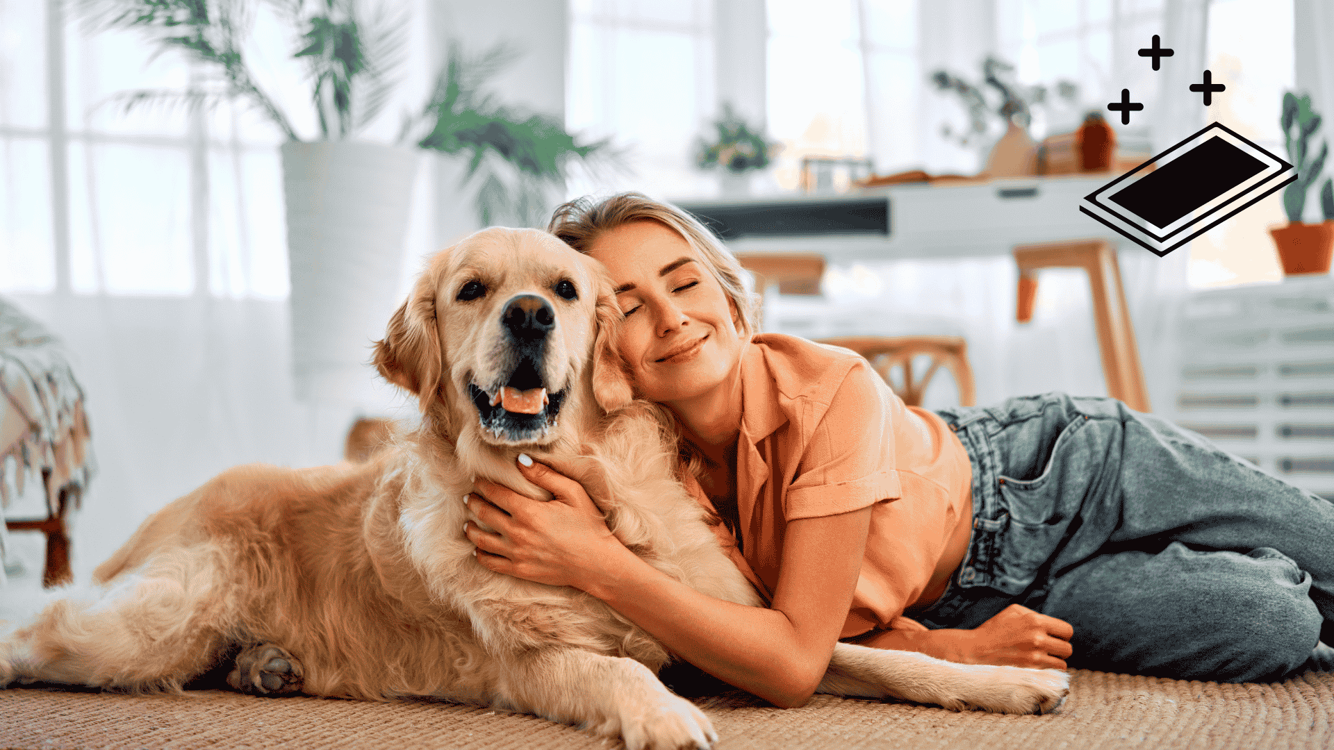 How to Set Up a Cool, Safe Indoor Space for Your Pet This Summer