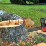 tree felling