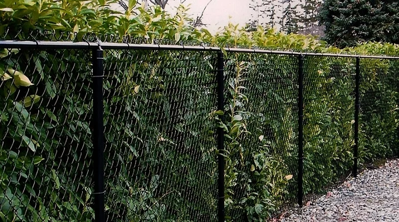 Commercial Fencing Asheville