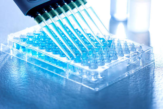 ELISA Immunoassay