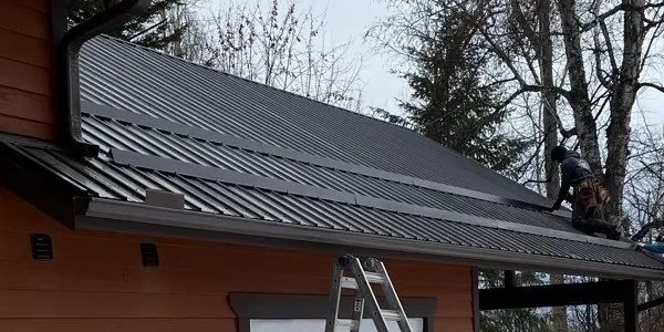 Snow Guards