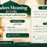 Hadees Meaning in Urdu infographic featuring Sahih al-Bukhari Hadith 232, Arabic Hadith text with Urdu translation, Kitab al-Wudu details, and Islamic educational information, with mohaddis.com branding.
