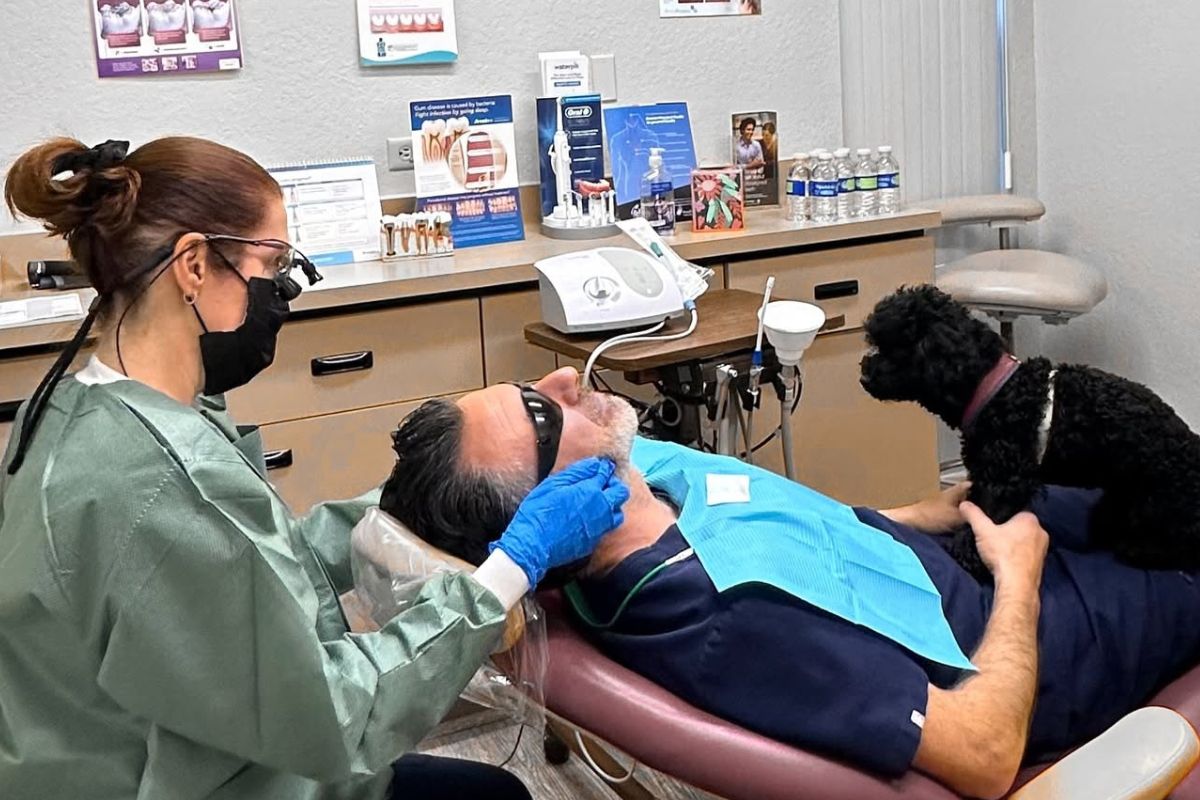 dental care
