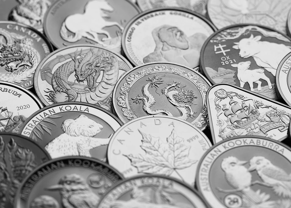 Silver Coin Dealer in Anoka, MN
