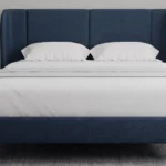 MoltyHome – Comfort You Come Home To