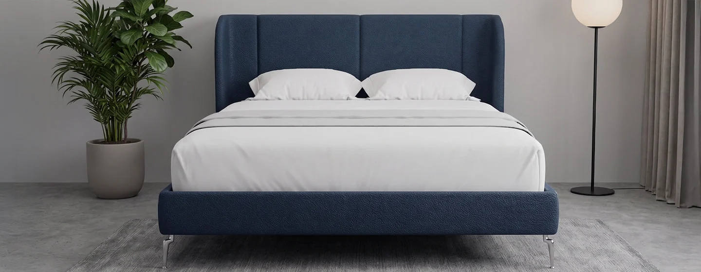 MoltyHome – Comfort You Come Home To
