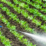 Buy Farm Products